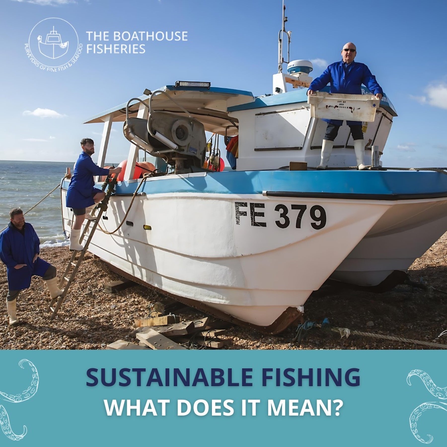 Help Us Reduce Sea Miles - Local Fresh Fish Boxes