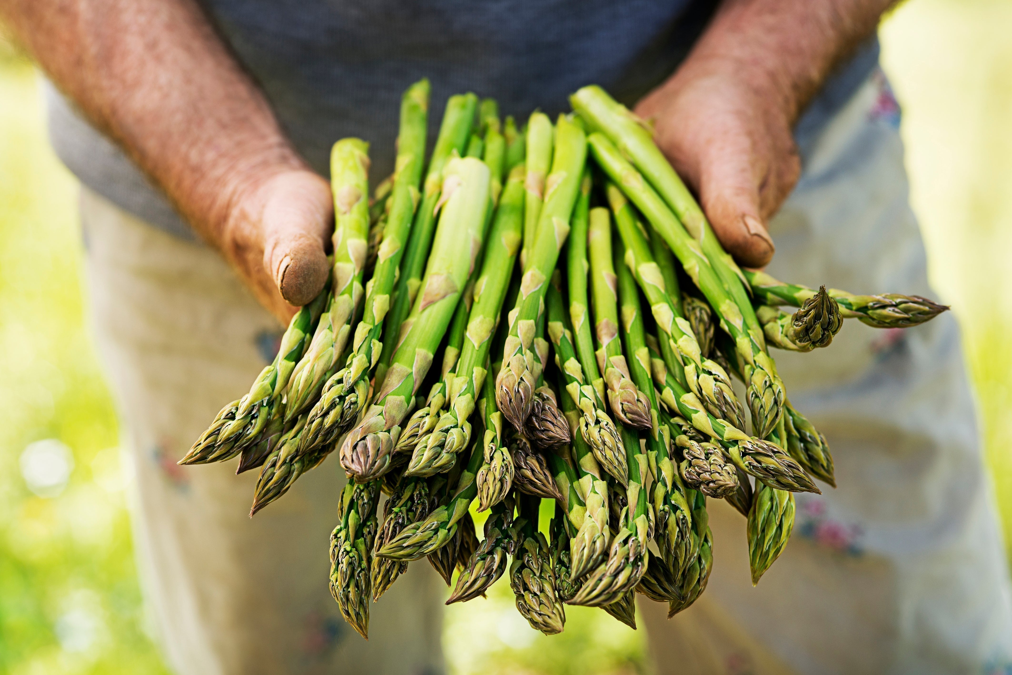 New Season Asparagus 🌱