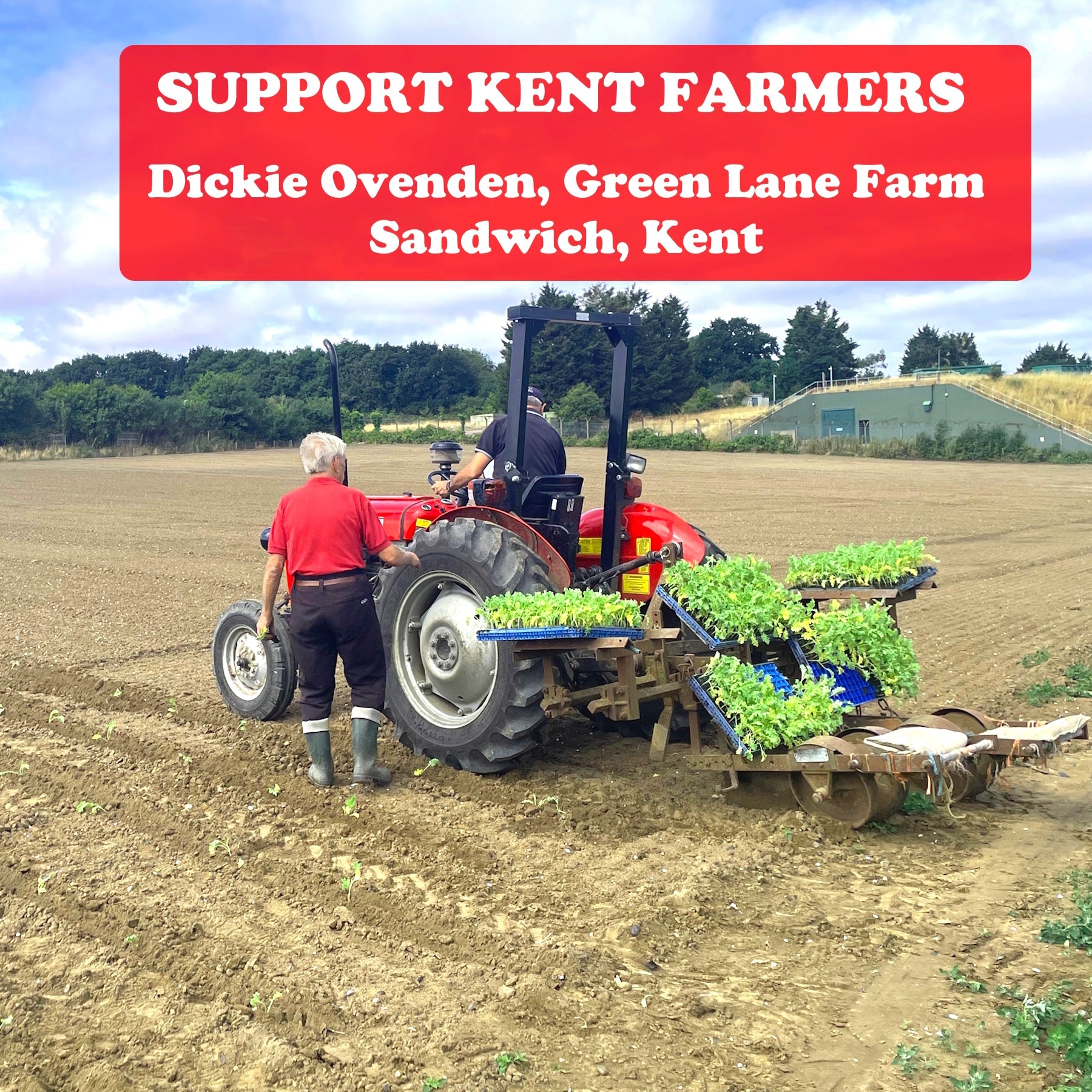 Welcome Back to Kent Veg Box