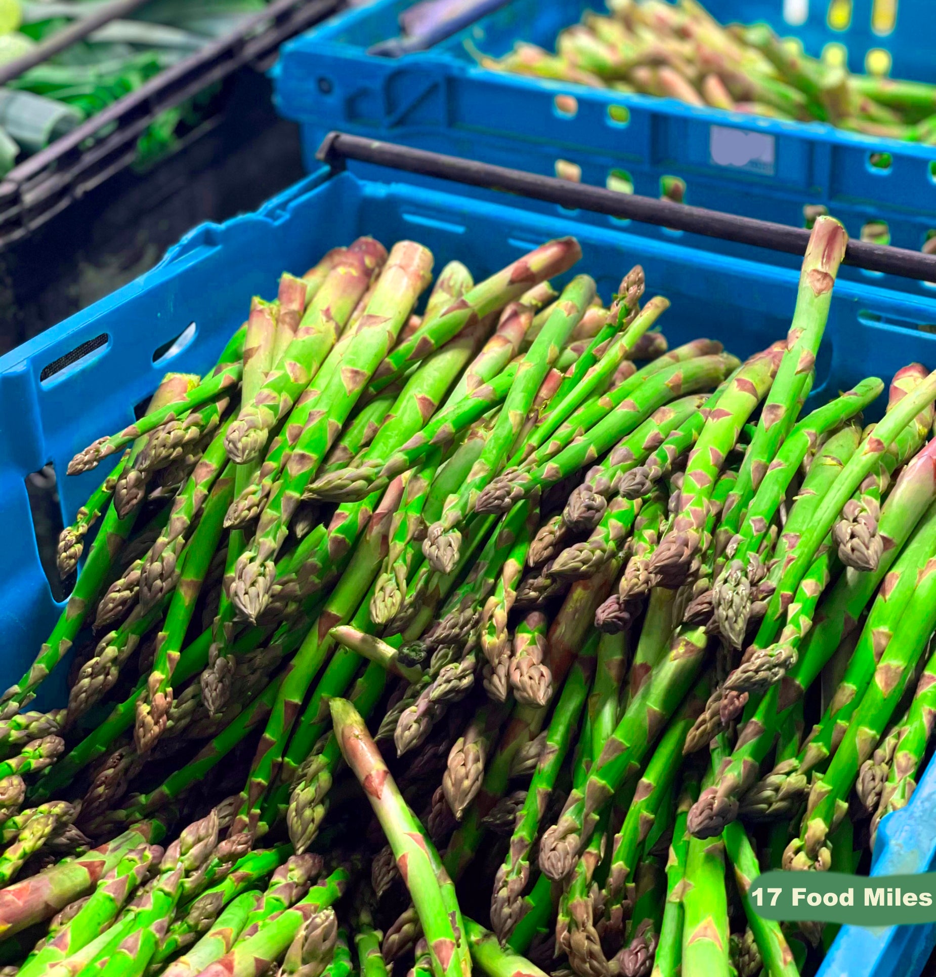 Where Are Those Spring Crops!