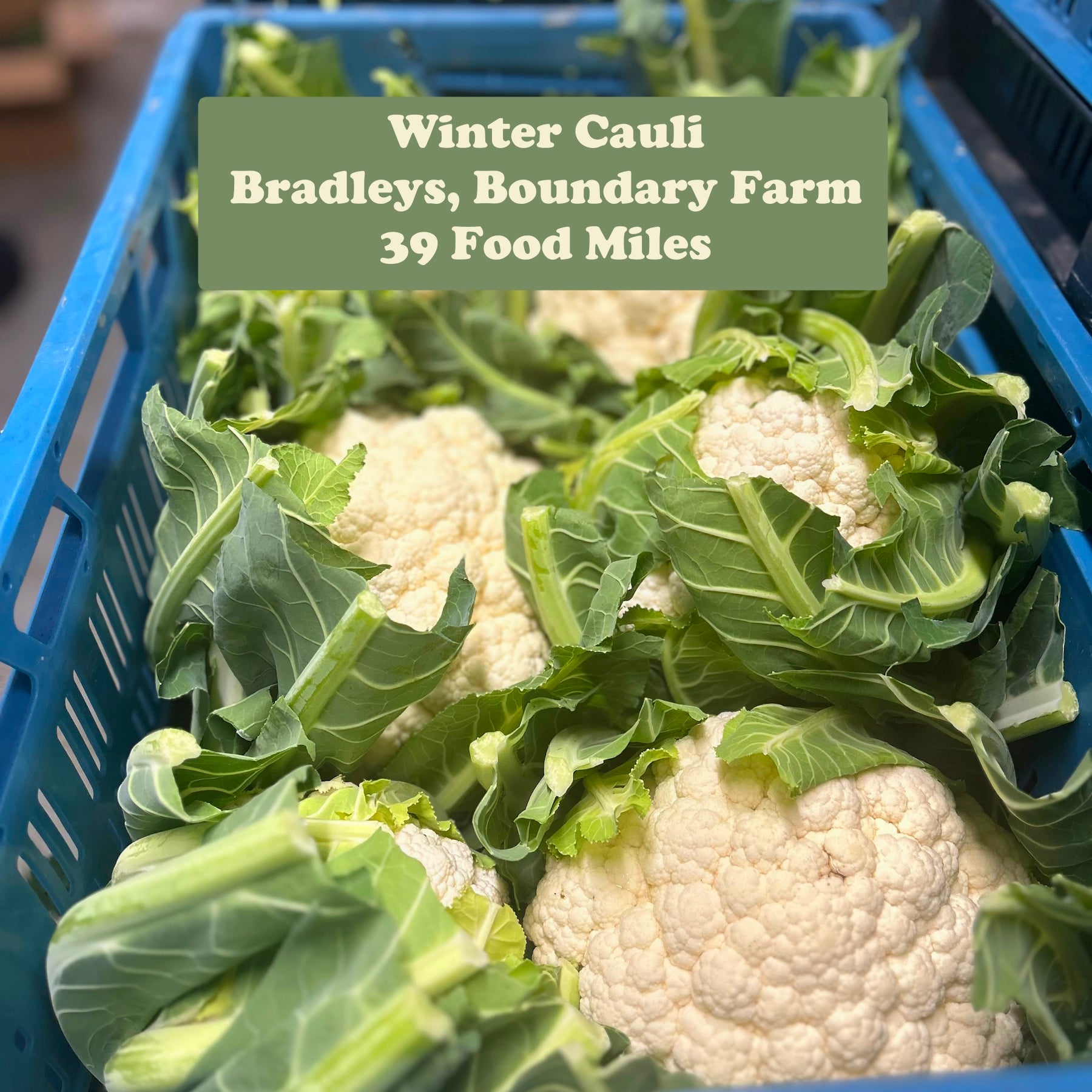 November Veg & Fruit Update - Winter is Coming