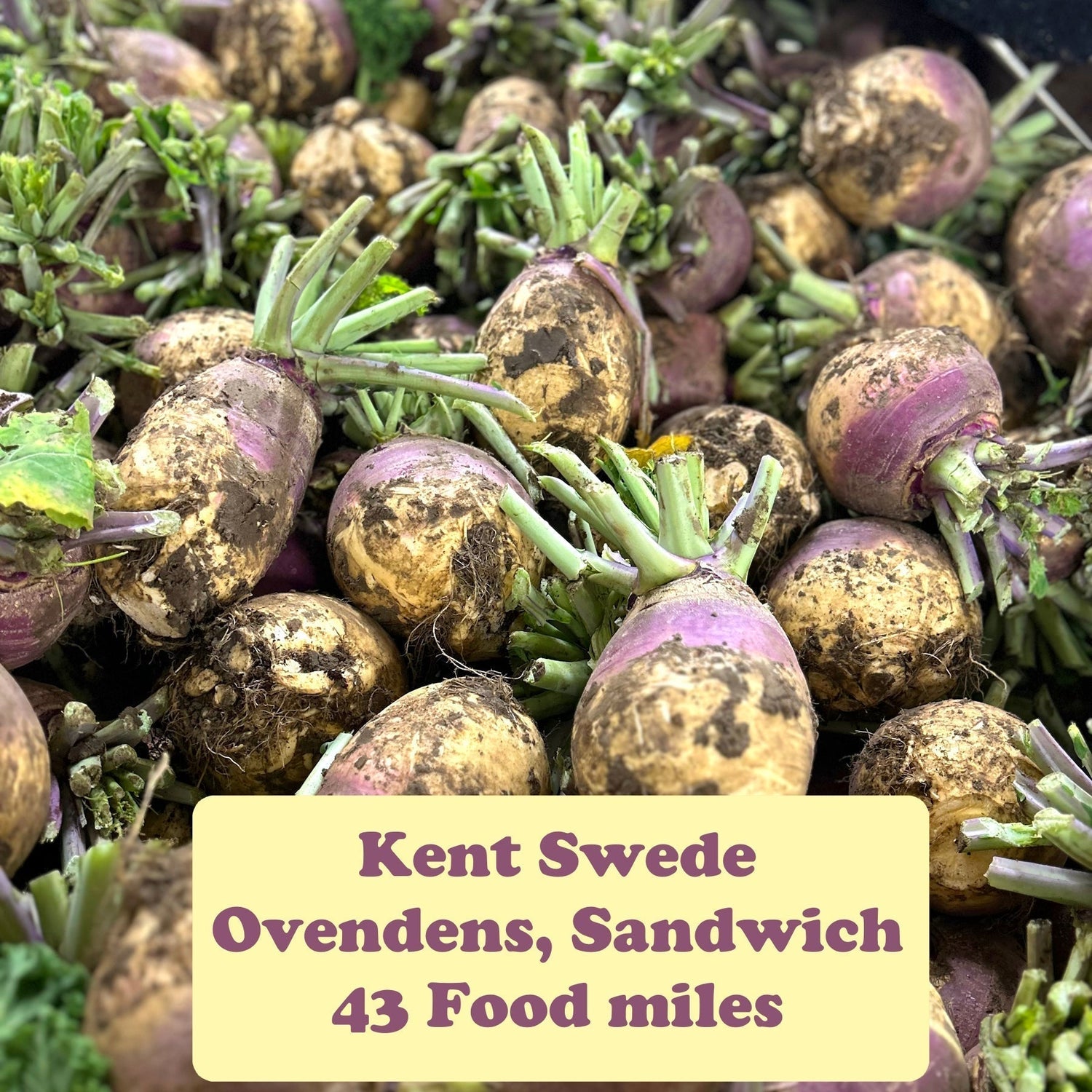 All About Swede