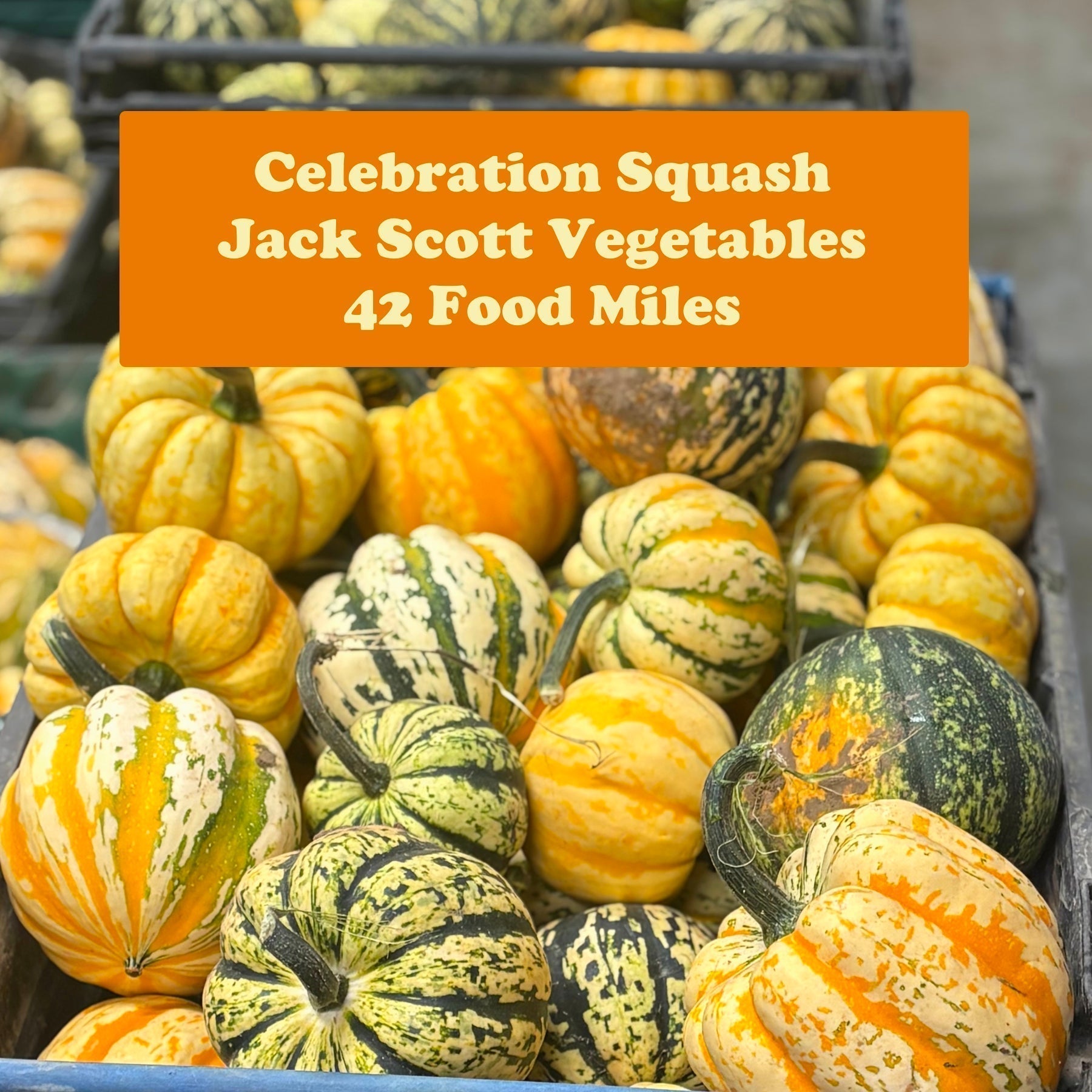 September Seasonal Update