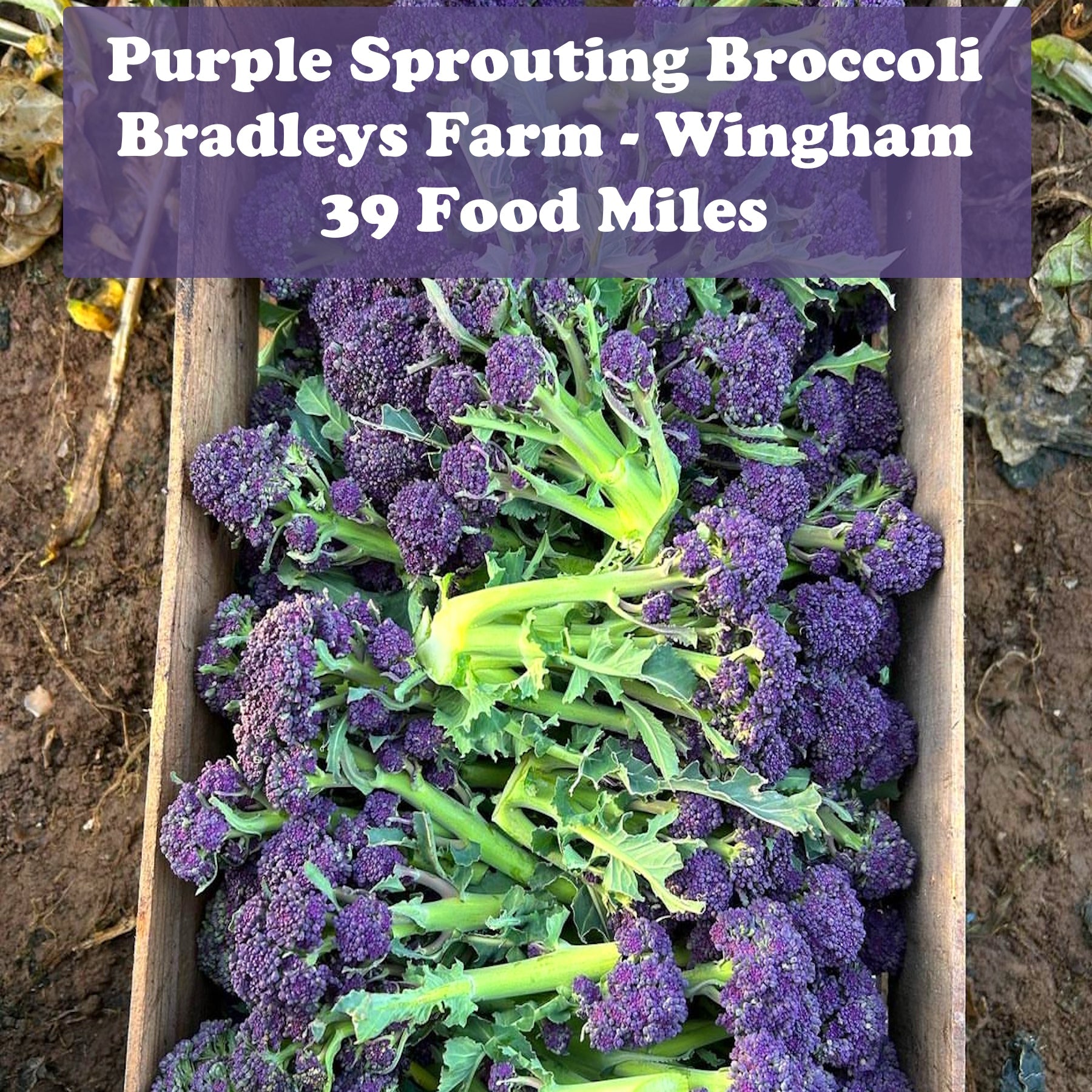 Good Friends Share Good Veg