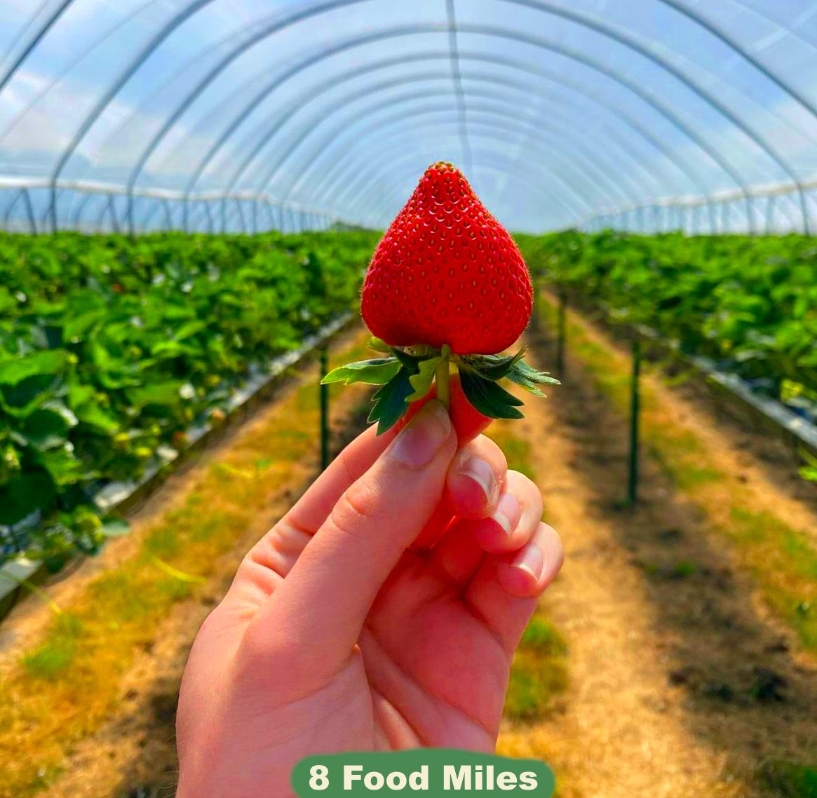 Kent Strawberries